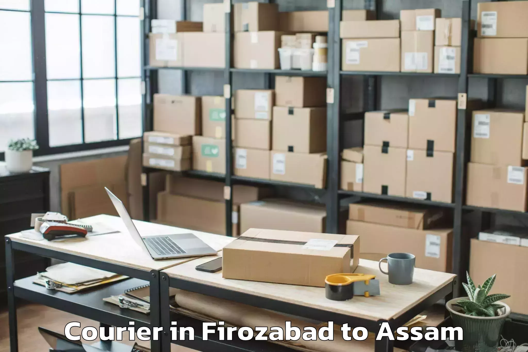 Professional Firozabad to Bokolia Courier